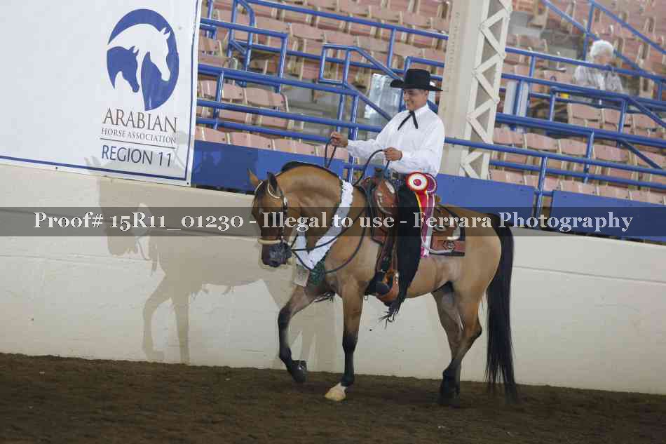 Proof 15R11_01230