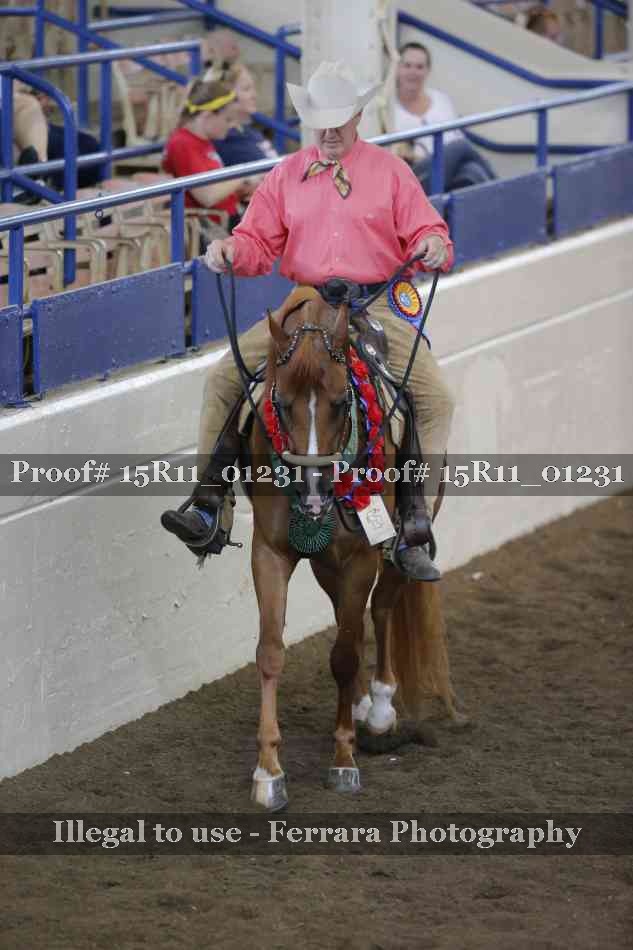 Proof 15R11_01231