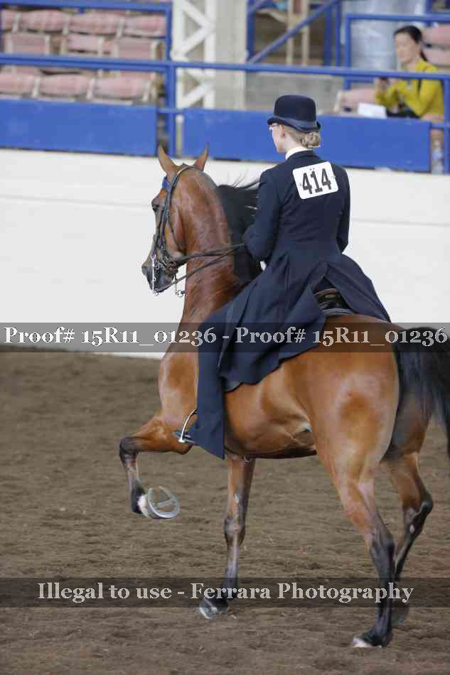 Proof 15R11_01236