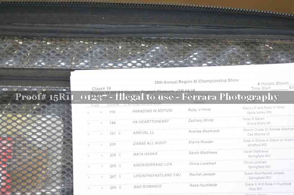Proof 15R11_01237