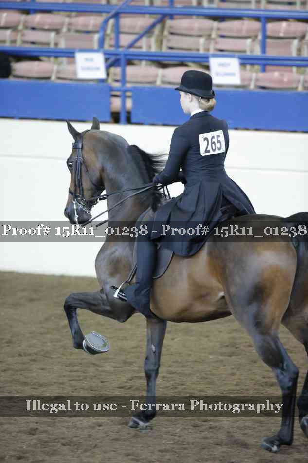 Proof 15R11_01238