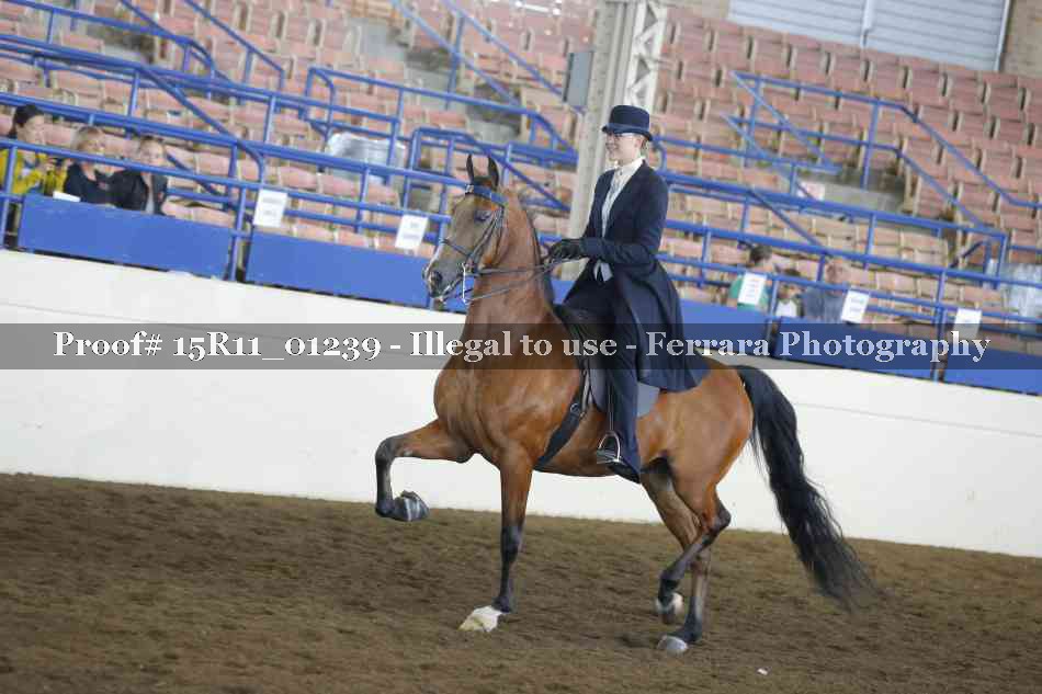 Proof 15R11_01239
