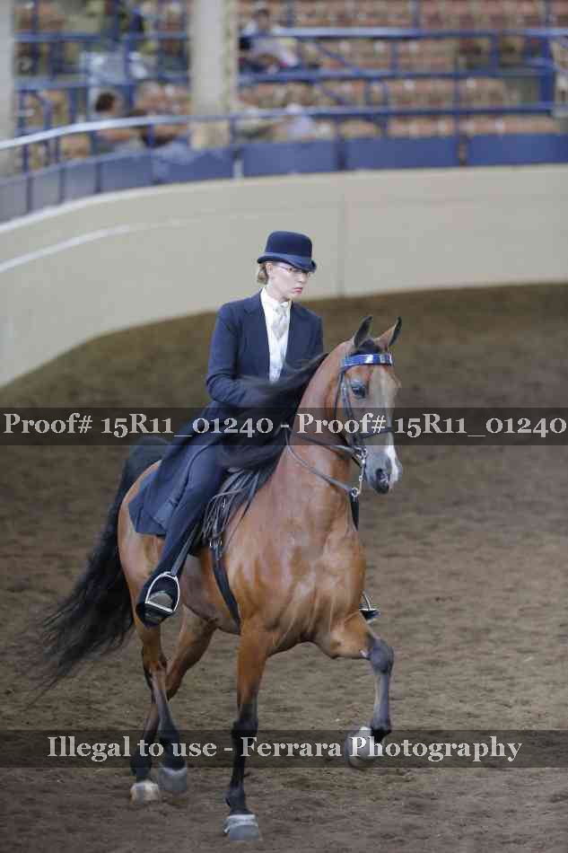 Proof 15R11_01240