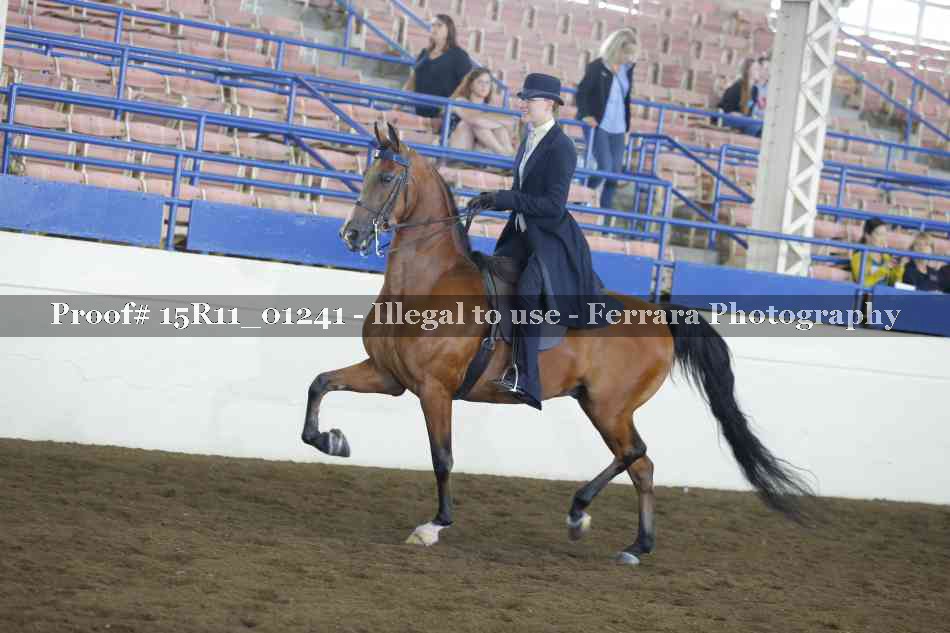 Proof 15R11_01241