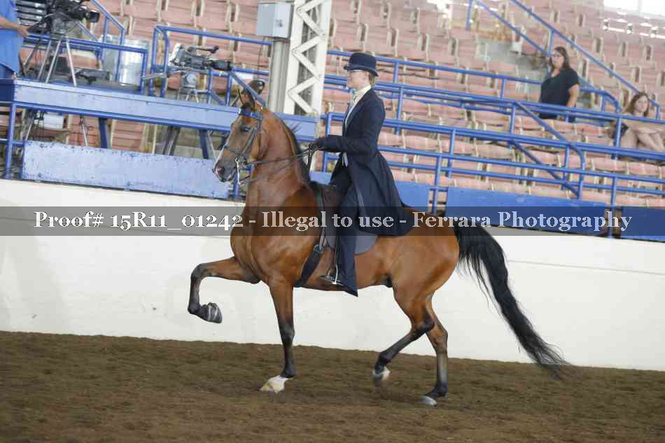 Proof 15R11_01242