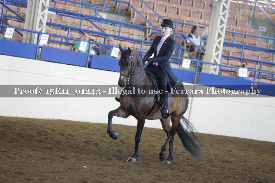 Proof 15R11_01243