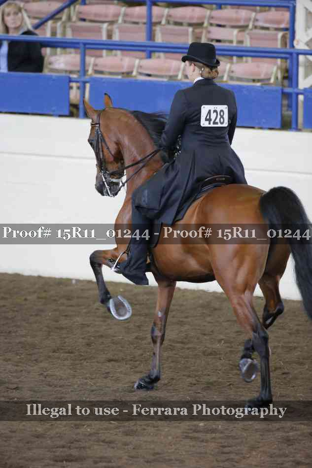 Proof 15R11_01244