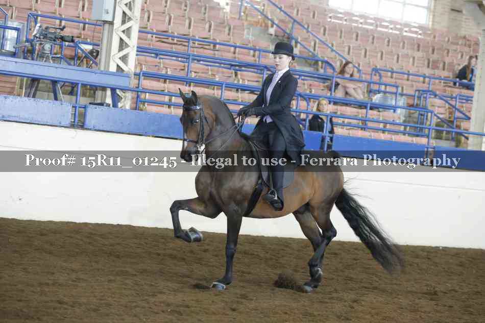 Proof 15R11_01245
