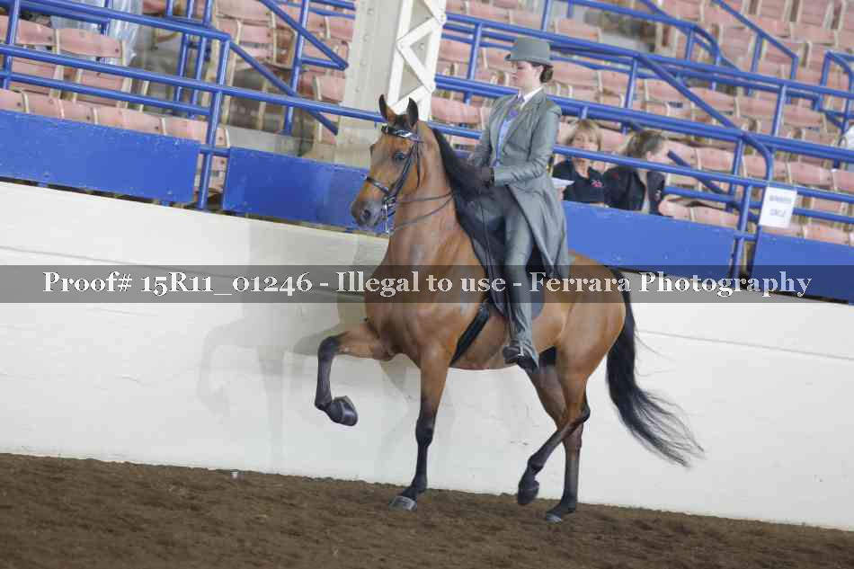 Proof 15R11_01246