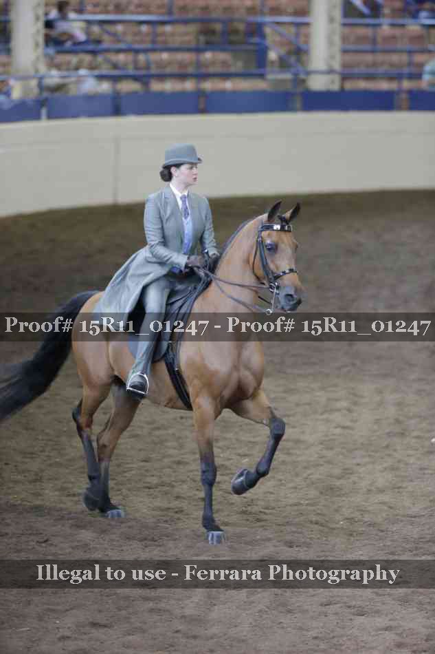 Proof 15R11_01247