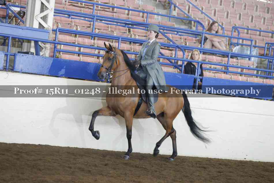 Proof 15R11_01248