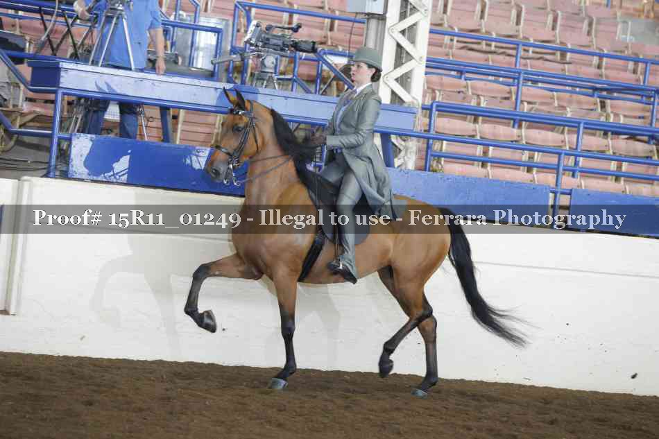 Proof 15R11_01249