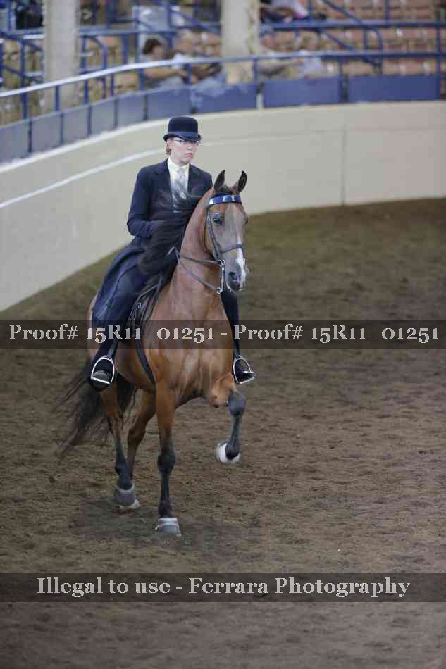 Proof 15R11_01251