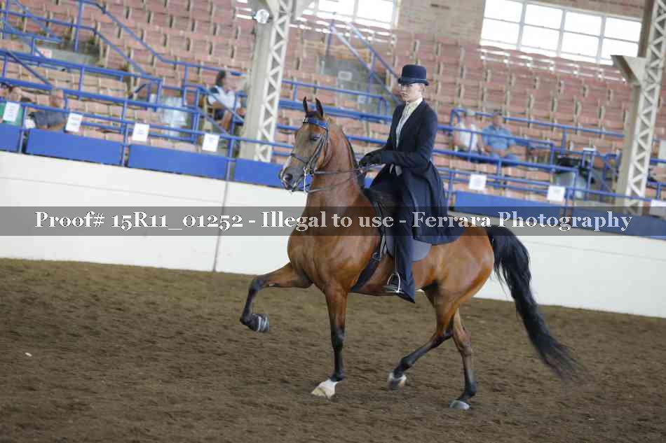 Proof 15R11_01252