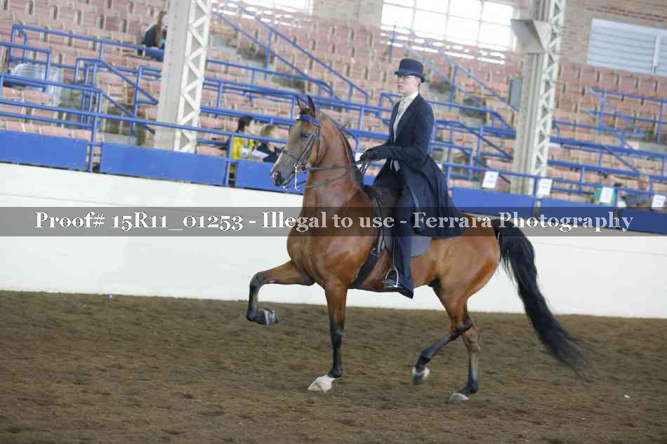Proof 15R11_01253