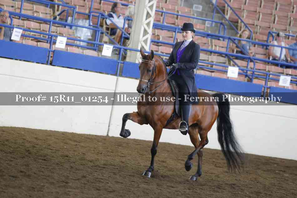Proof 15R11_01254