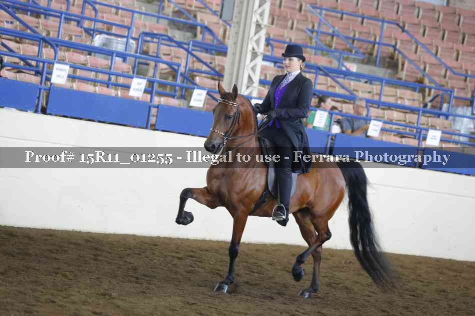 Proof 15R11_01255