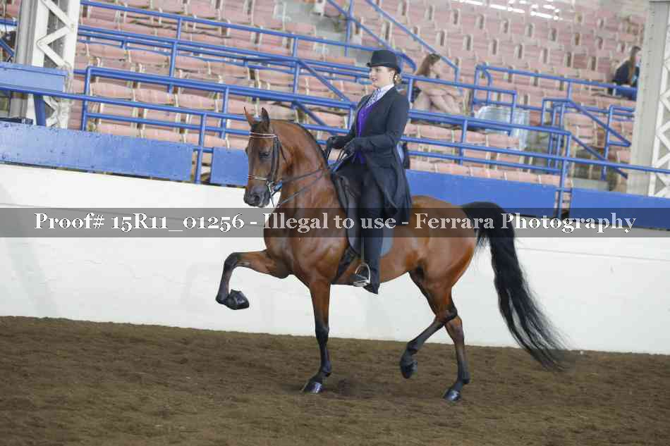 Proof 15R11_01256