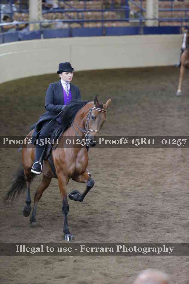 Proof 15R11_01257