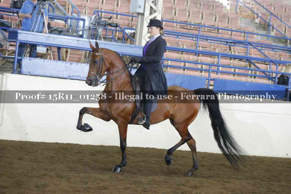 Proof 15R11_01258
