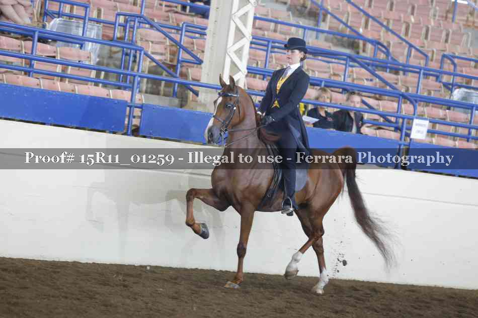 Proof 15R11_01259