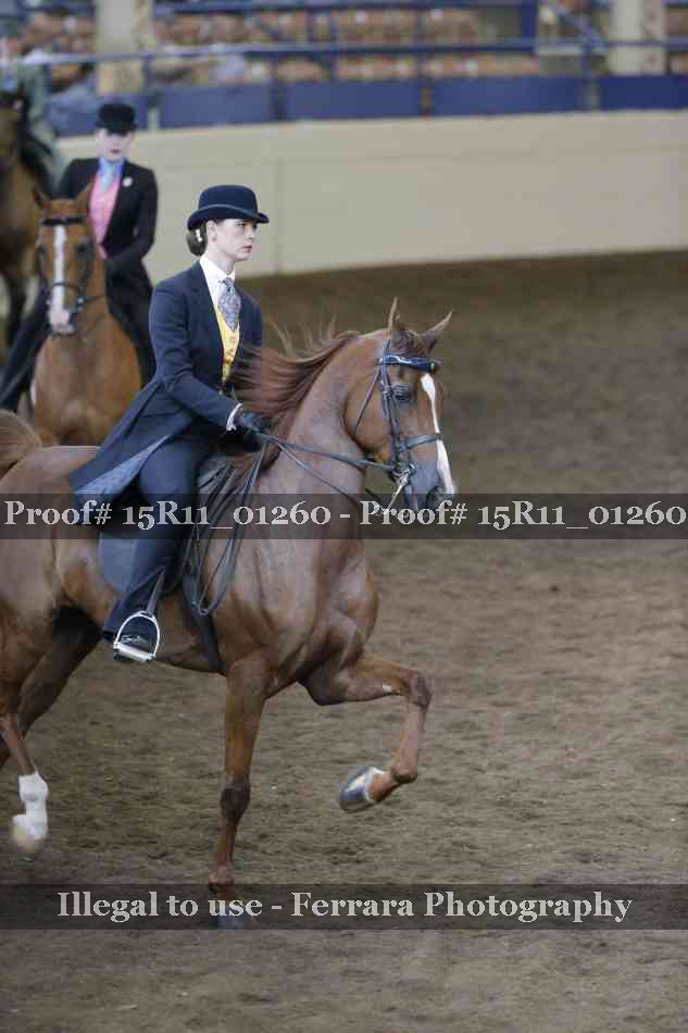 Proof 15R11_01260
