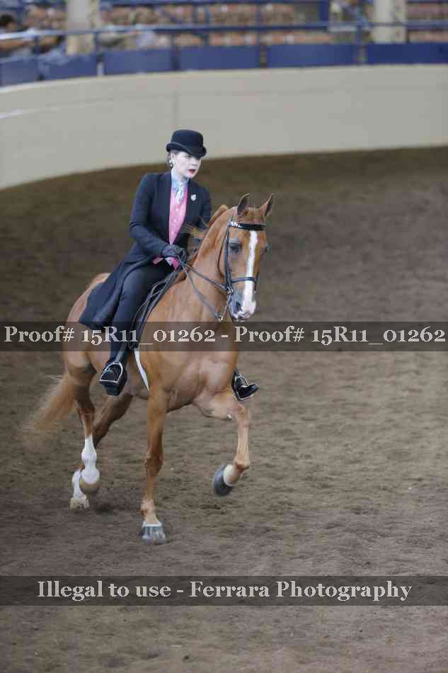 Proof 15R11_01262