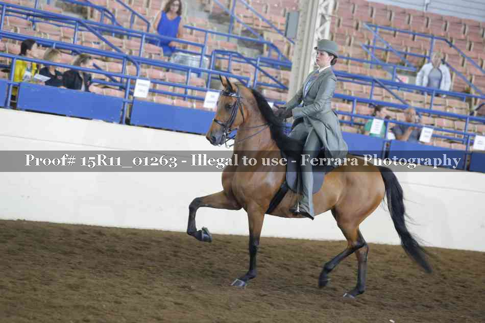 Proof 15R11_01263
