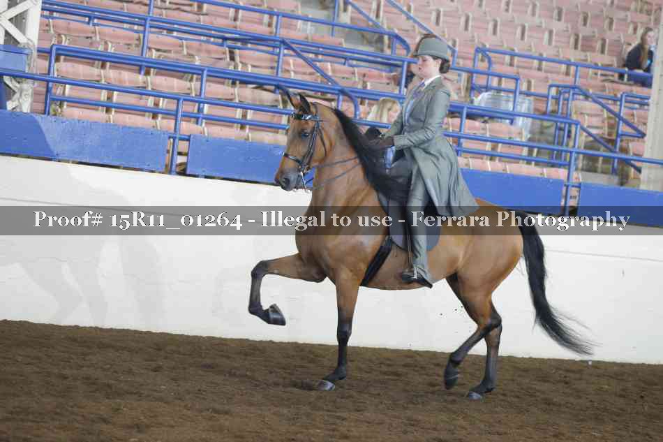 Proof 15R11_01264