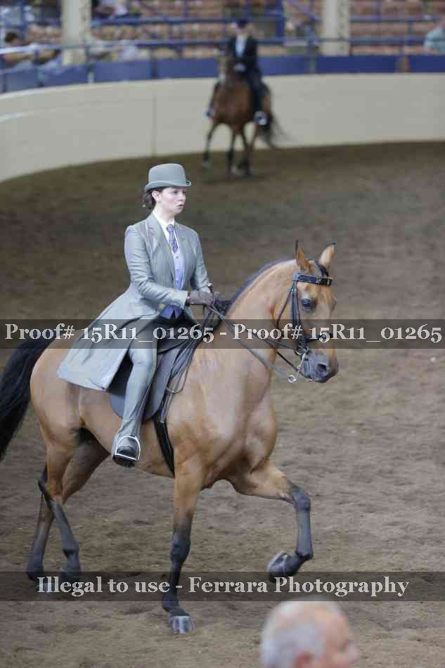 Proof 15R11_01265