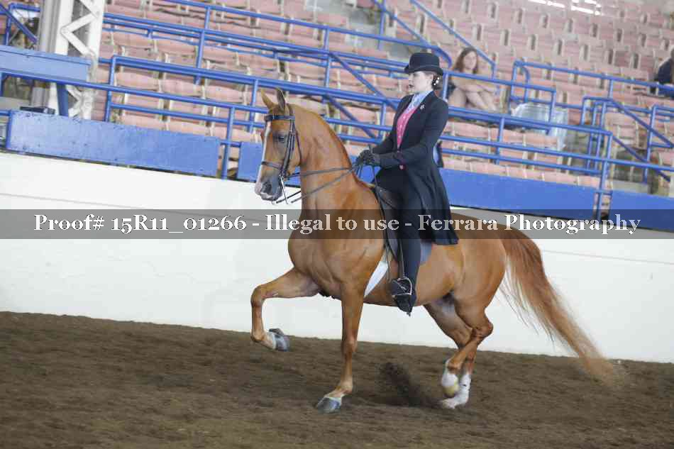 Proof 15R11_01266