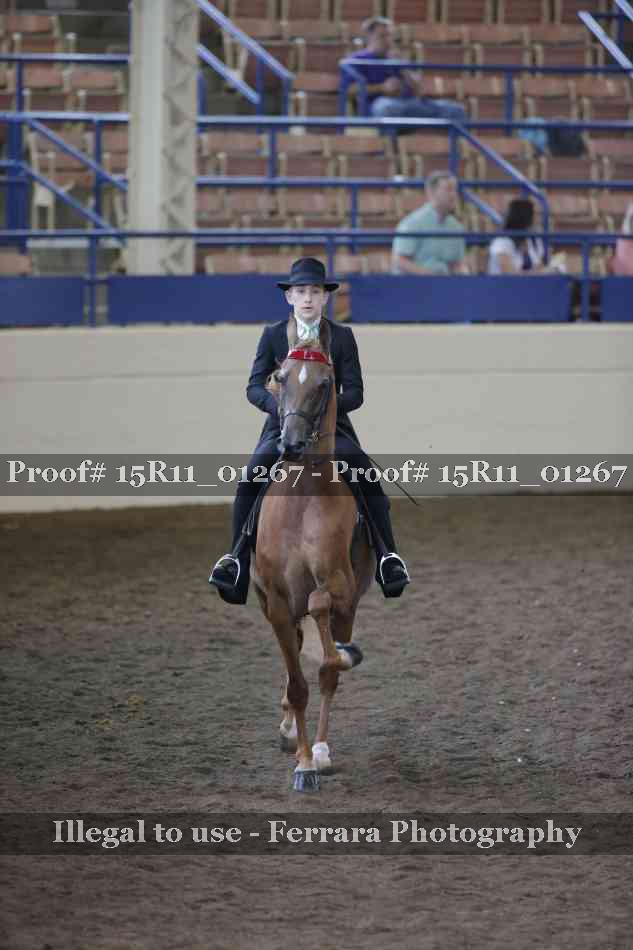 Proof 15R11_01267