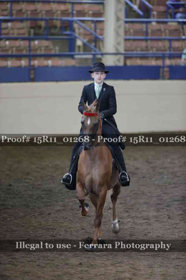 Proof 15R11_01268