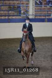 15R11_01268 proof