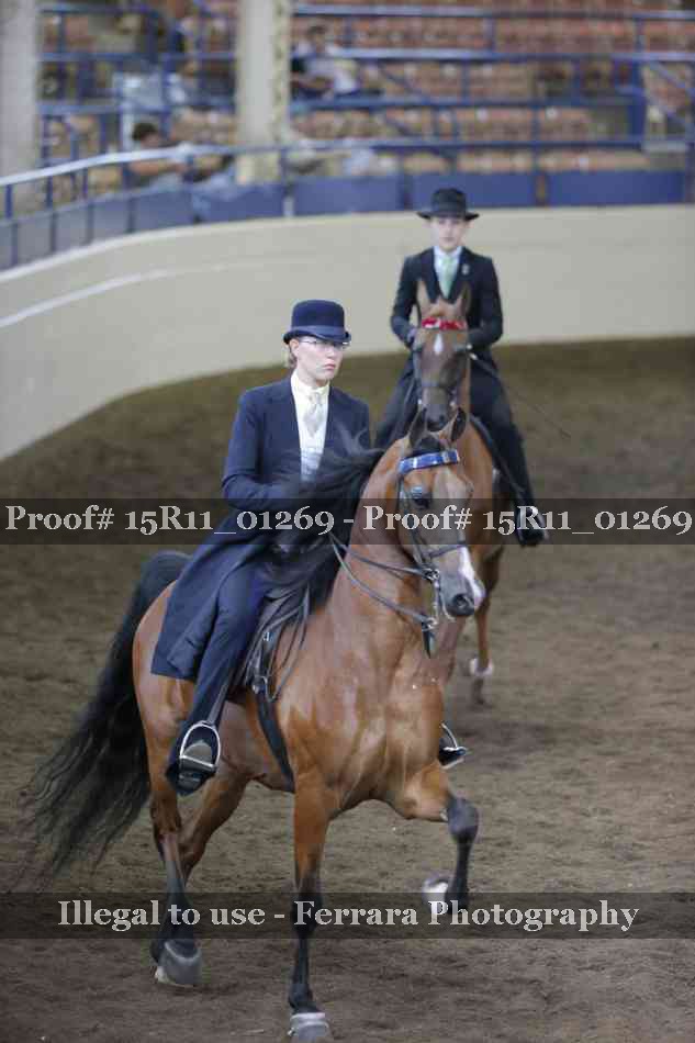 Proof 15R11_01269