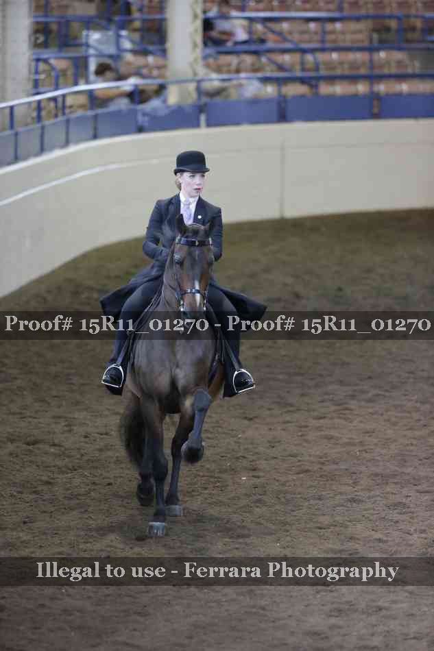 Proof 15R11_01270