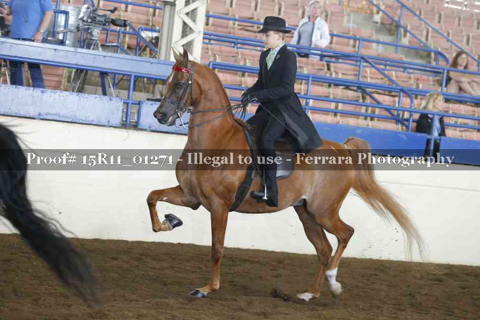 Proof 15R11_01271