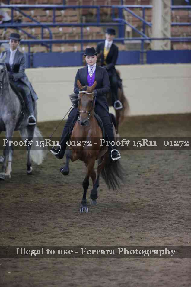 Proof 15R11_01272