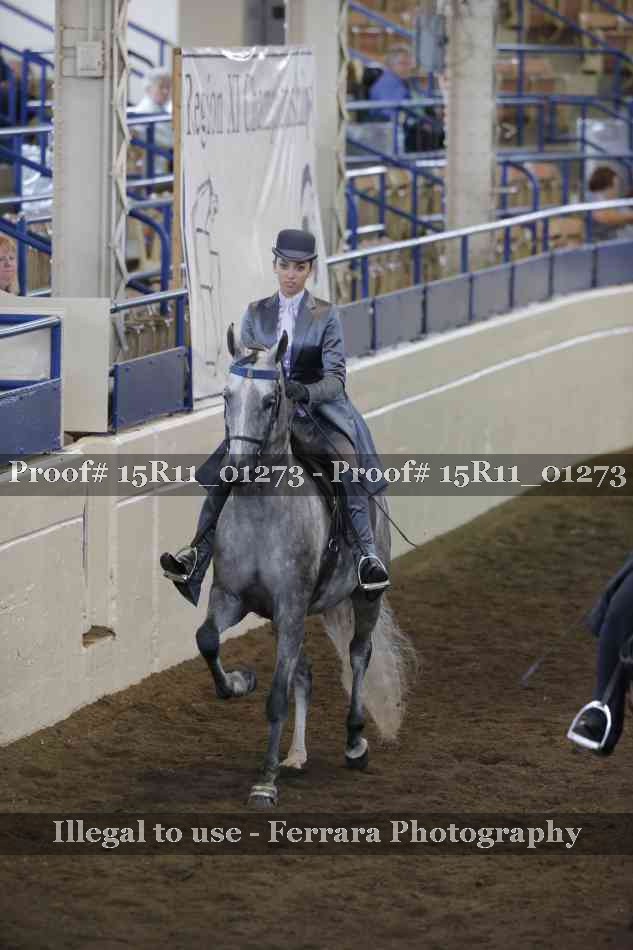 Proof 15R11_01273