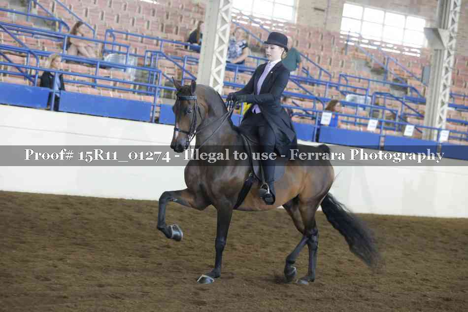Proof 15R11_01274