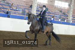 15R11_01274 proof