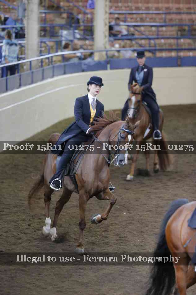 Proof 15R11_01275