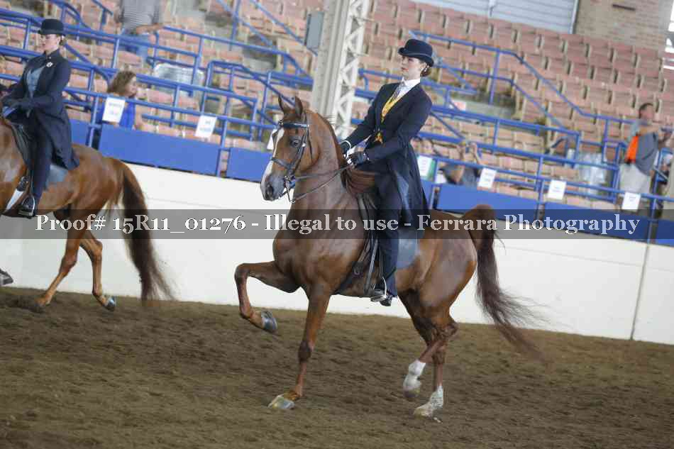 Proof 15R11_01276