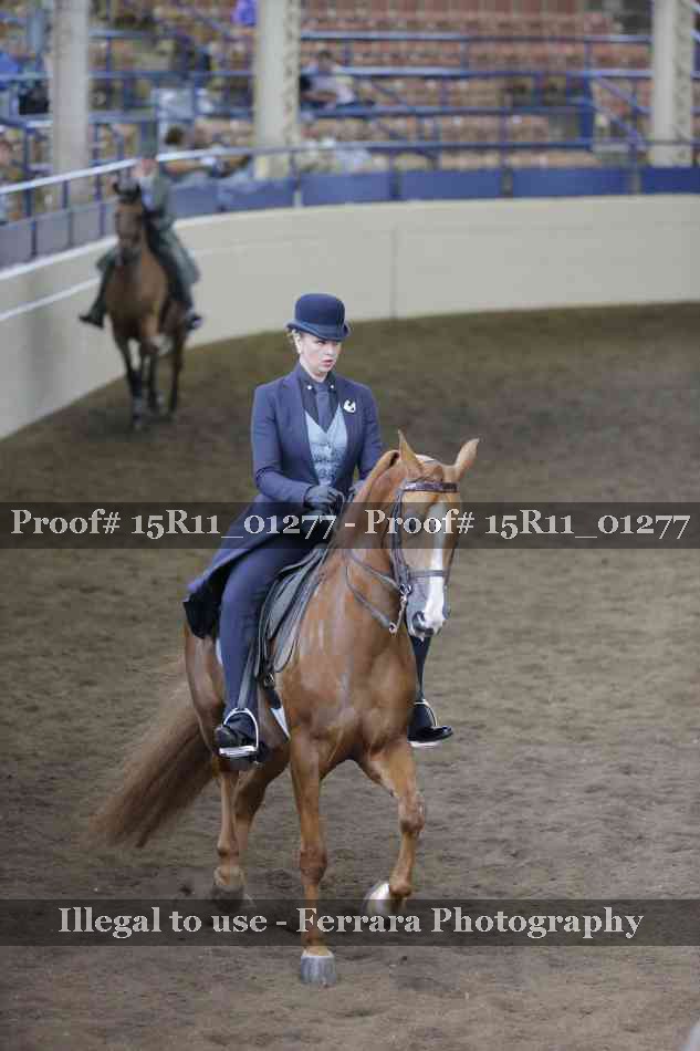 Proof 15R11_01277