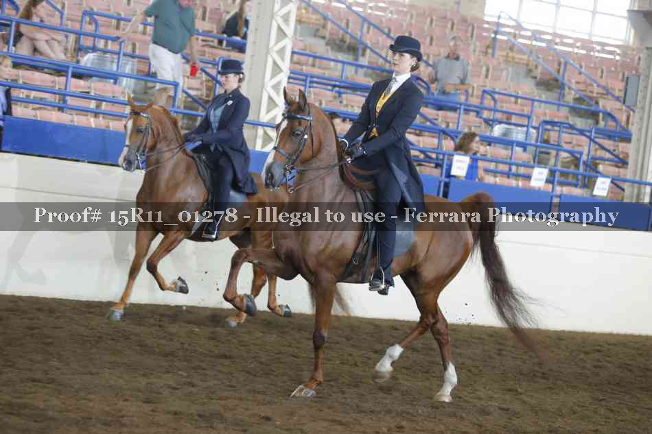 Proof 15R11_01278