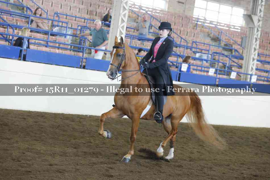 Proof 15R11_01279