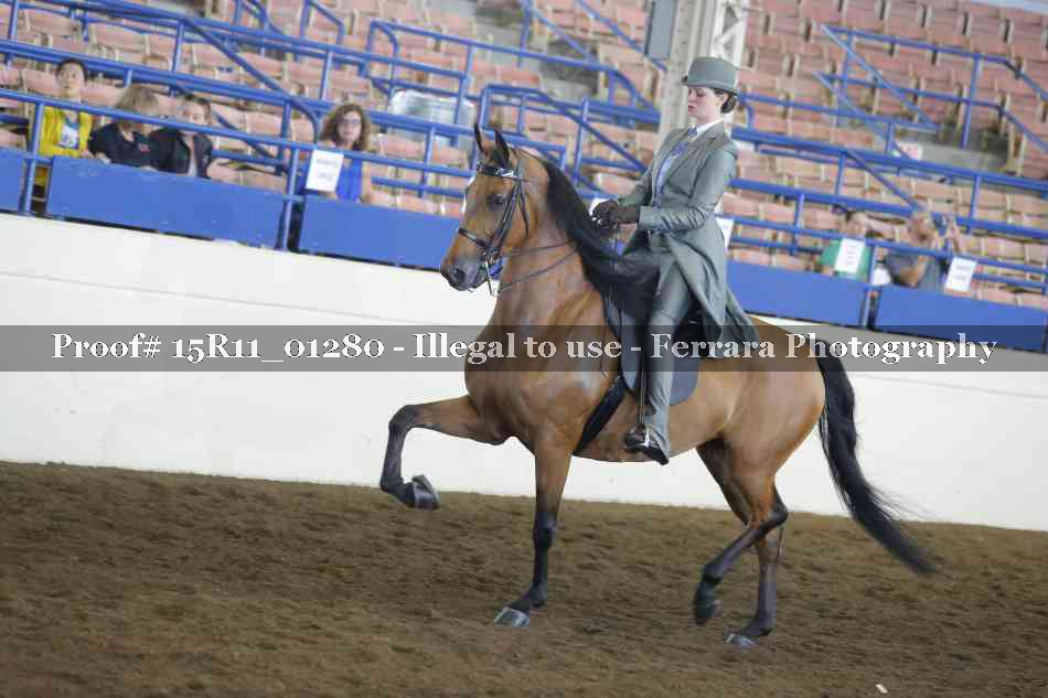 Proof 15R11_01280