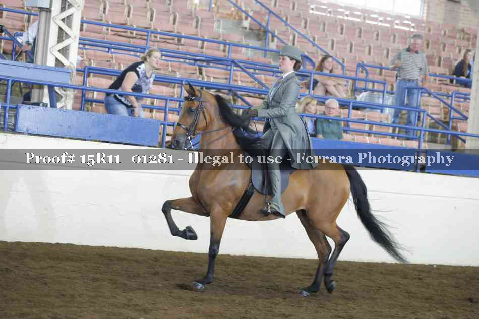 Proof 15R11_01281