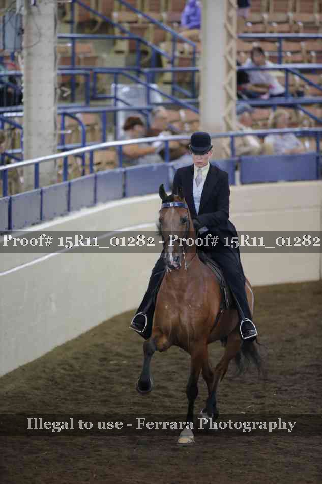 Proof 15R11_01282