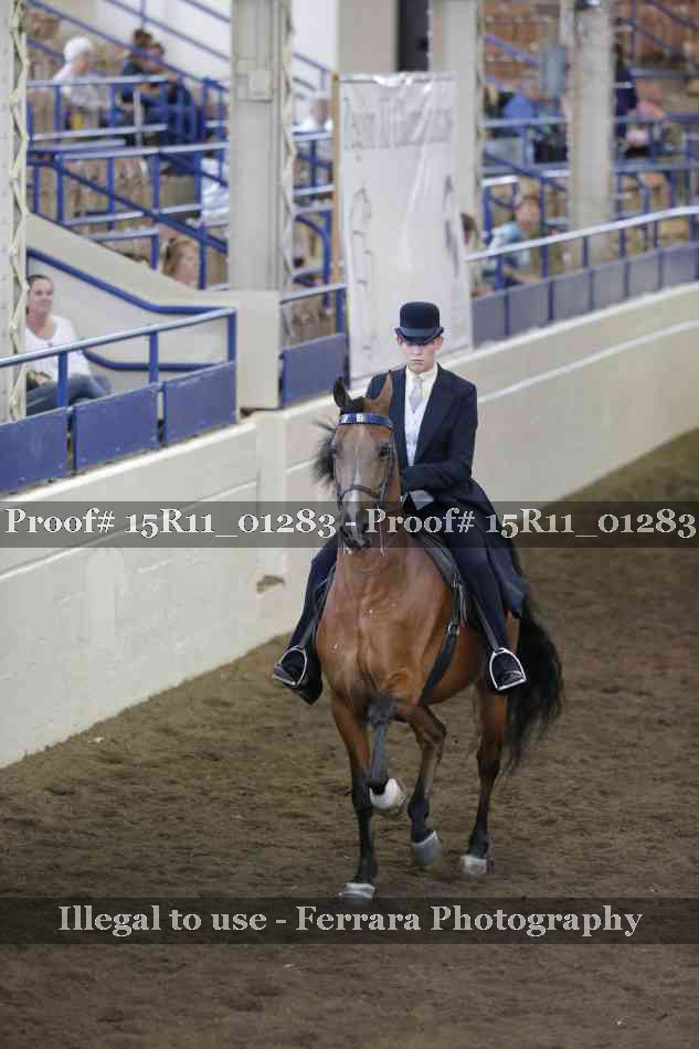 Proof 15R11_01283